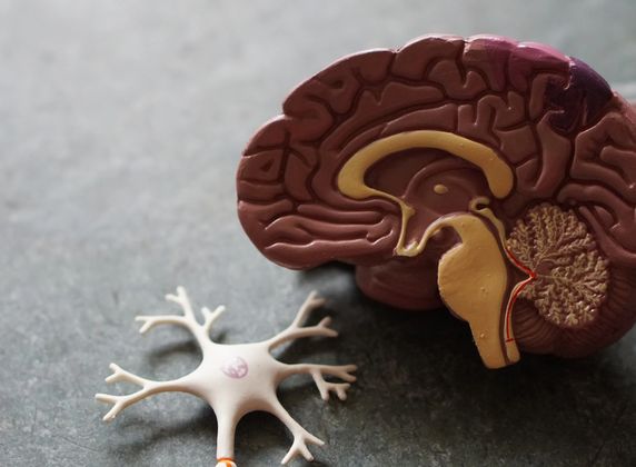 Mecklenburg Neurology